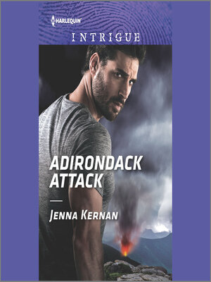 cover image of Adirondack Attack